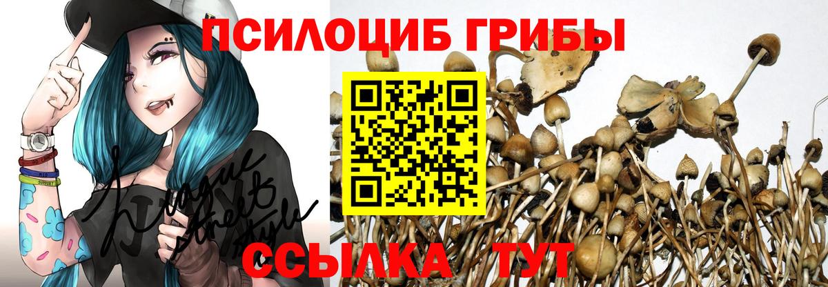 Галлюциногенные грибы MAGIC MUSHROOMS Белореченск