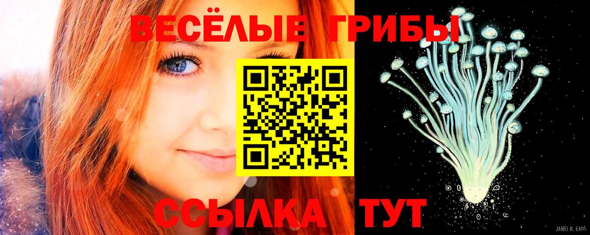Белореченск  Псилоцибиновые грибы MAGIC MUSHROOMS  Вход с VPN 